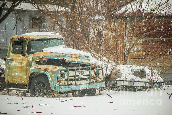 Classics in the Snow by Sheila Skogen Classics in the Snow by Sheila Skogen